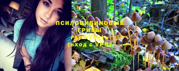 мдпв Бугульма