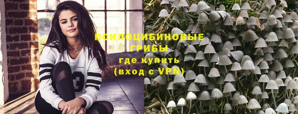 мдпв Бугульма