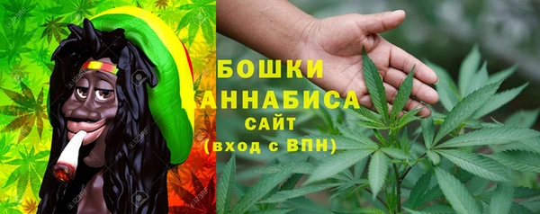 мдпв Бугульма