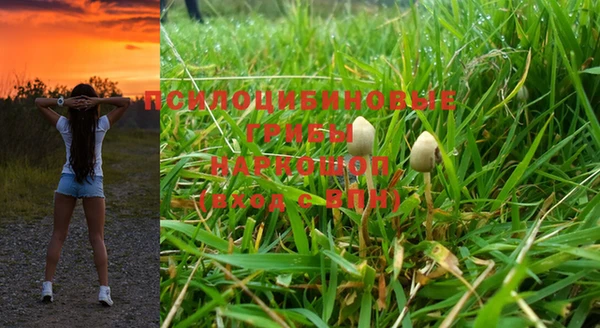крисы Бронницы